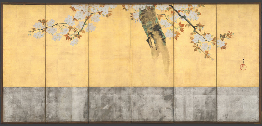 Pintura del estilo Rinpa - "Flor de cerezo" por Sakai Hōitsu