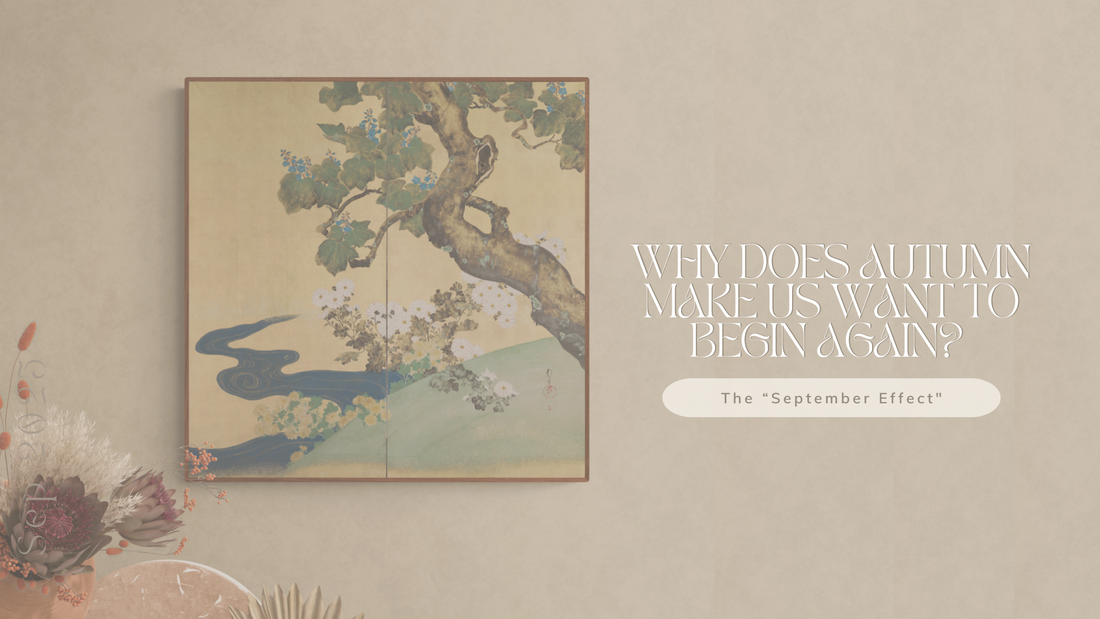 September - Back to Routine