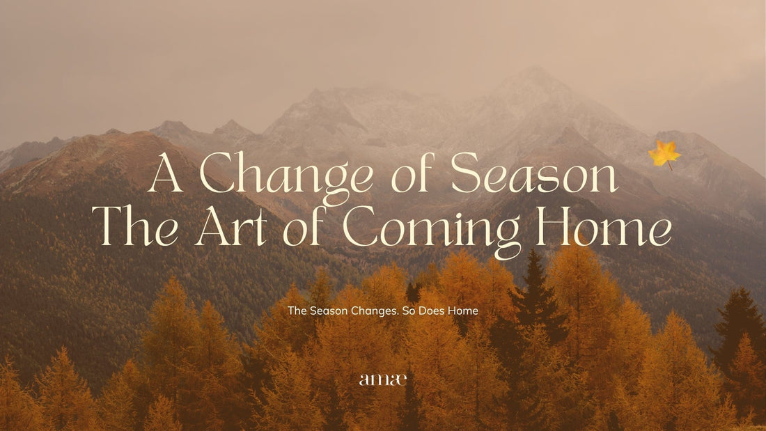 A Change of Season, the Art of Coming Home.